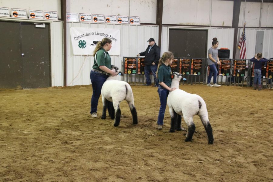 Local Livestock Show Winners