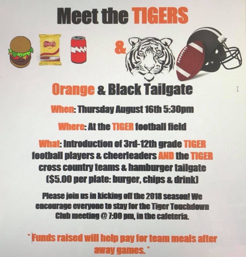 Meet The Tigers