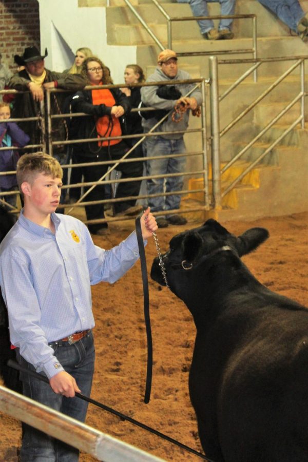 Canton Students Compete At Spring Stock Show