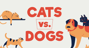 https://www.budgetdirect.com.au/blog/cats-vs-dogs-which-does-the-world-prefer.html